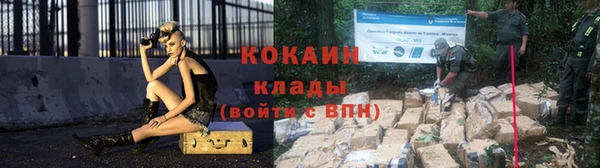 кокс Белокуриха