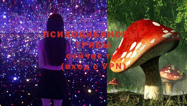 кокс Белокуриха