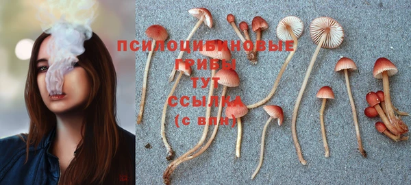 дмт Беломорск