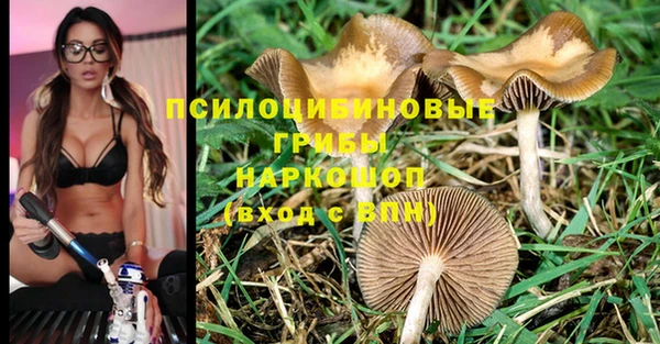 МДПВ Белоозёрский