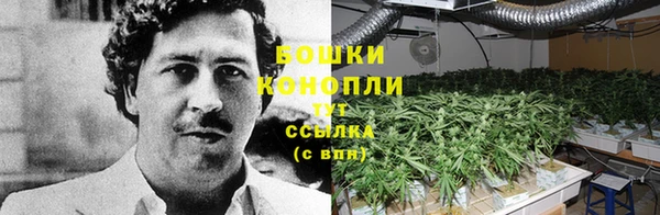 кокс Белокуриха